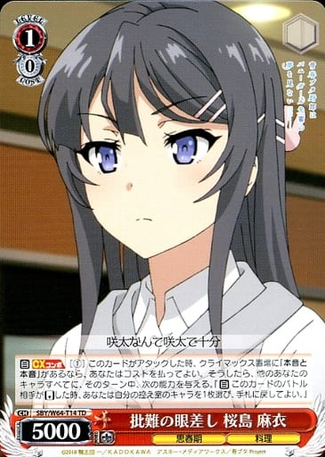 [TD] SBY/W64-T14 批難の眼差し 桜島 麻衣