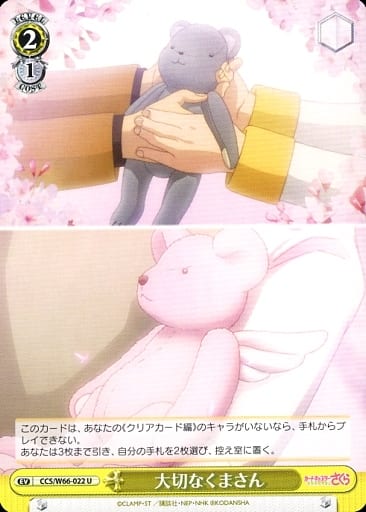 [U] CCS/W66-022 大切なくまさん