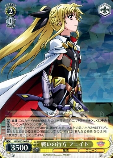 [R] ND/W67-005 戦いの行方 フェイト