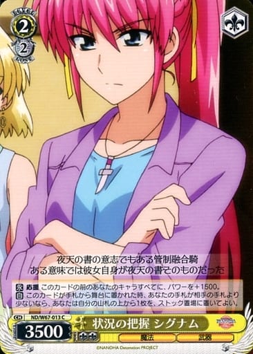 [C] ND/W67-013 状況の把握 シグナム