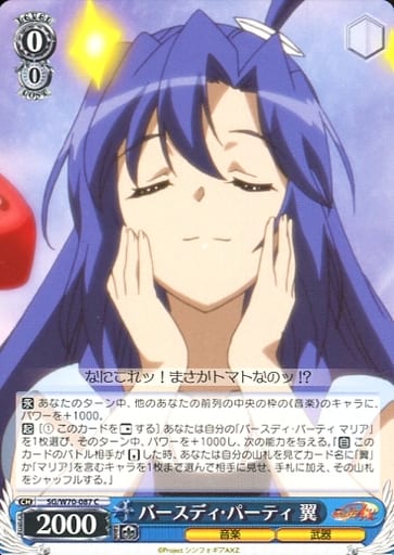 [C] SG/W70-087 バースディ・パーティ 翼