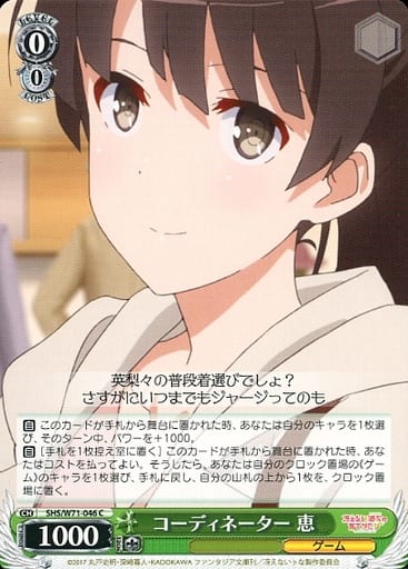 [C] SHS/W71-046 コーディネーター 恵
