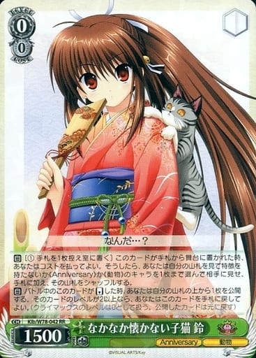 [RR] Klb/W78-042 なかなか懐かない子猫 鈴