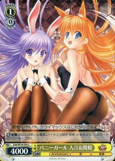 [C] Kab/W78-030 バニーガール 入江&関根
