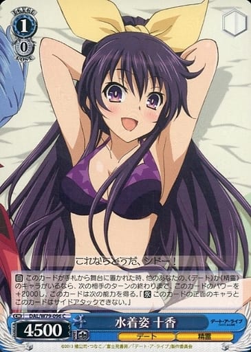 [C] DAL/W79-096 水着姿 十香