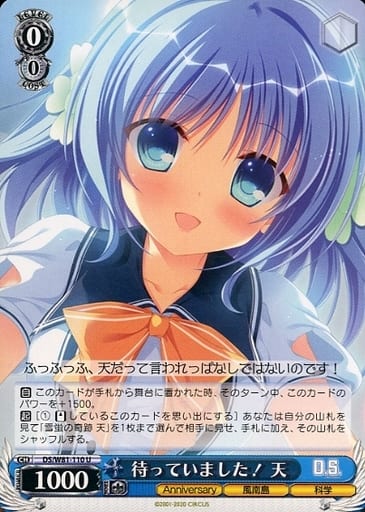 [U] DS/W81-110 待っていました! 天