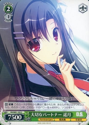 [C] DS/W81-102 大切なパートナー 遥月