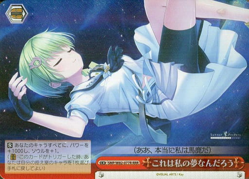 [RRR] SMP/W82-077R これは私の夢なんだろう
