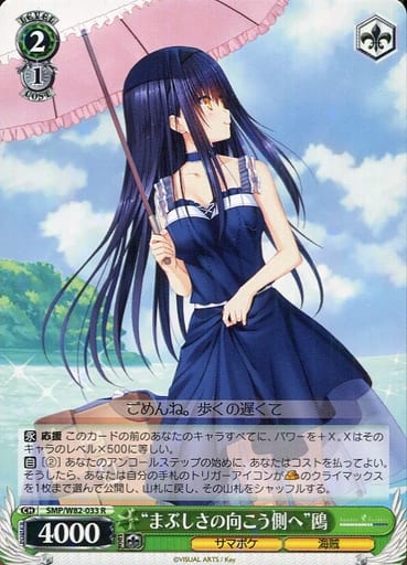[R] SMP/W82-033 “まぶしさの向こう側へ” 鴎