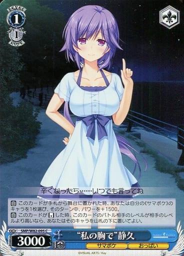 [C] SMP/W82-095 “私の胸で” 静久