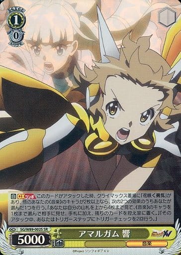 [SR] SG/W89-002S アマルガム 響