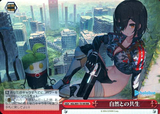 [RRR] HOL/W91-T019R 自然との共生