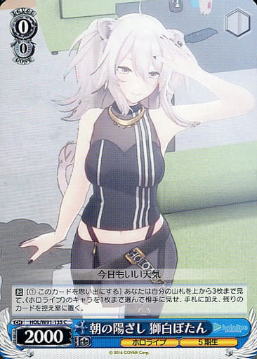[C] HOL/W91-135 朝の陽ざし 獅白ぼたん