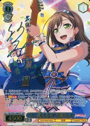 [SSP] BD/W95-088SSP “心、震える音”花園たえ(サイン...