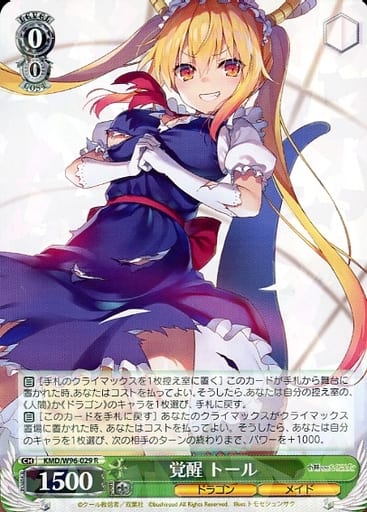 [R] KMD/W96-029 覚醒 トール