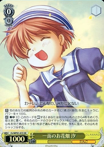 [SR] CL/WP01-01S 一面のお花畑 汐