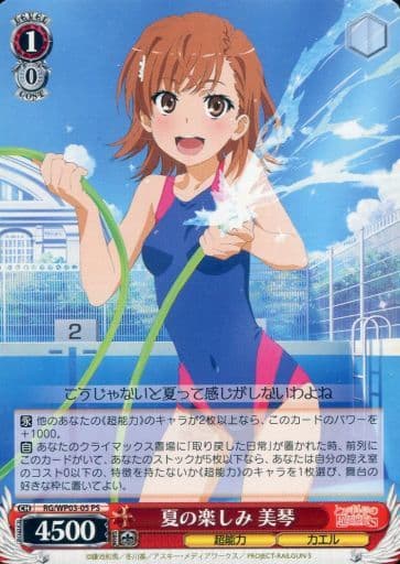 [PS] RG/WP03-05 夏の楽しみ 美琴