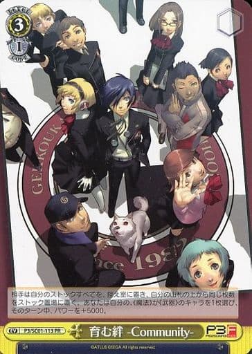 [PR] P3/SC01-113 育む絆 -Community-