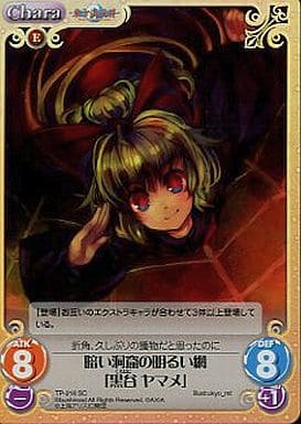 [SC] TP-216SC 暗い洞窟の明るい網「黒谷 ヤマメ」