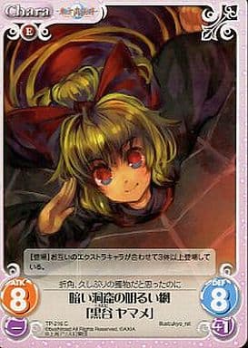 [C] TP-216 暗い洞窟の明るい網「黒谷 ヤマメ」