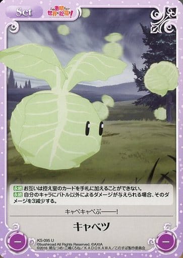[U] KS-095 キャベツ