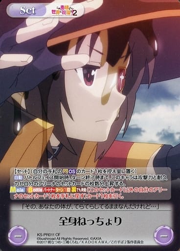 [PR] KS-PR011 全身ねっちょり(オーバーフレー...