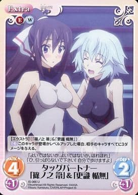 [U] IS-066 タッグパートナー「篠ノ之 箒」...
