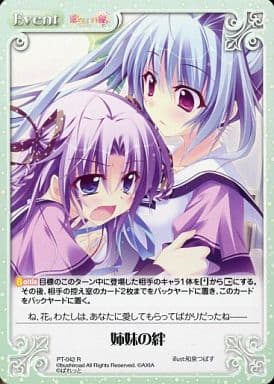 [R] PT-042 姉妹の絆