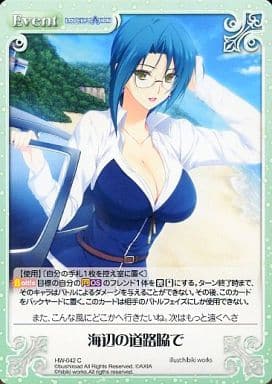 [C] HW-042 海辺の道路脇で
