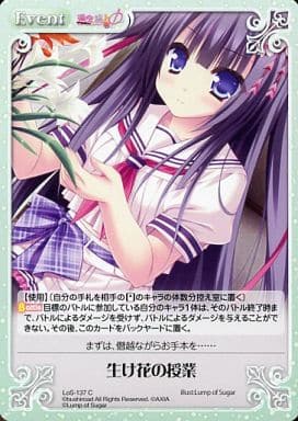 [C] LoS-137 生け花の授業