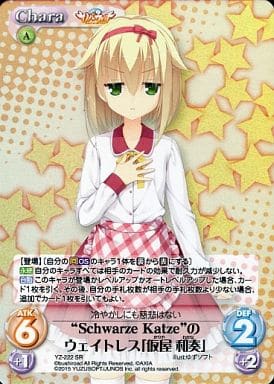 [SR] YZ-222 “SchwarzeKatze”のウェイトレス...