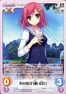 [T] TG-T07 心の傷「片桐 愛佳」