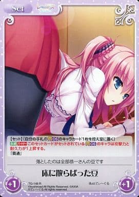 [R] TG-148 床に散らばった豆