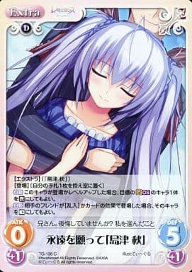 [C] TG-138 永遠を願って「島津 秋」