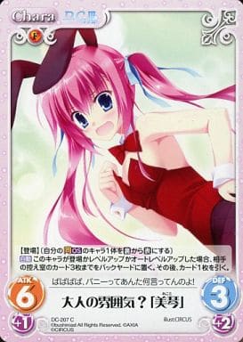 [C] DC-207 大人の雰囲気？「美琴」