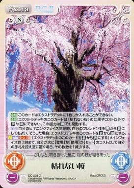 [C] DC-238 枯れない桜