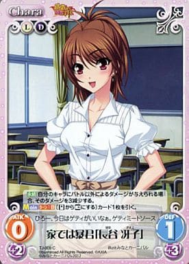 [C] TJ-009 家では暴君「長谷 冴子」