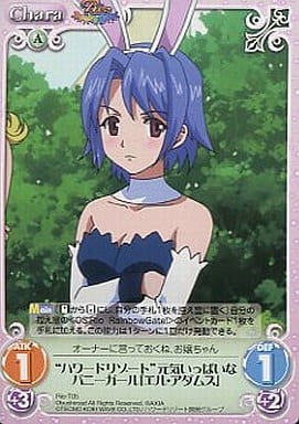 [T] Rio-T05 “ハワードリゾート”元気いっぱい...