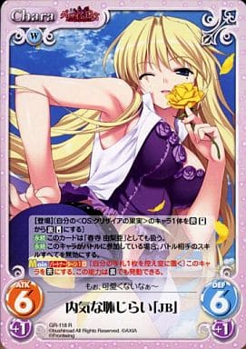 [R] GR-118 内気な恥じらい「JB」