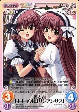 [U] NV-031 裏と表「キキョウ」＆「リシアン...