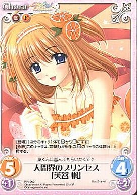 [PR] PR-062 人間界のプリンセス「芙蓉 楓」