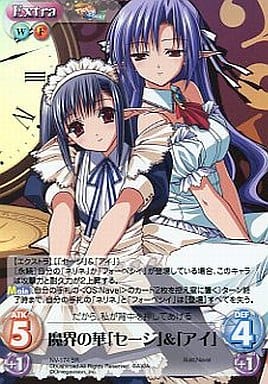 [SR] NV-174 魔界の華「セージ」＆「アイ」