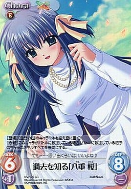 [SR] NV-179 過去を知る「八重 桜」