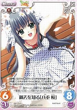 [R] NV-179 過去を知る「八重桜」
