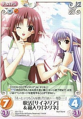 [U] NV-175 快活「サイネリア」＆箱入り「ネ...