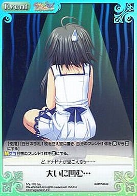 [SE] NV-T03 大いに凹む…