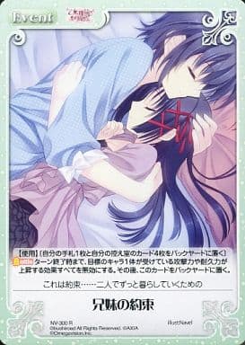 [R] NV-300 兄妹の約束