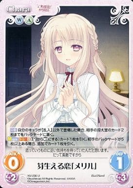 [U] NV-236 芽生える恋「メリル」