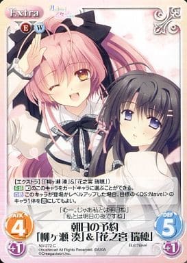 [C] NV-272 朝日の予約「柳ヶ瀬湊」＆「花之...