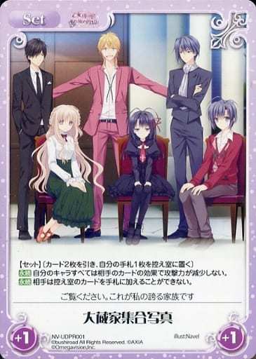 [PR] NV-UDPR001 大蔵家集合写真